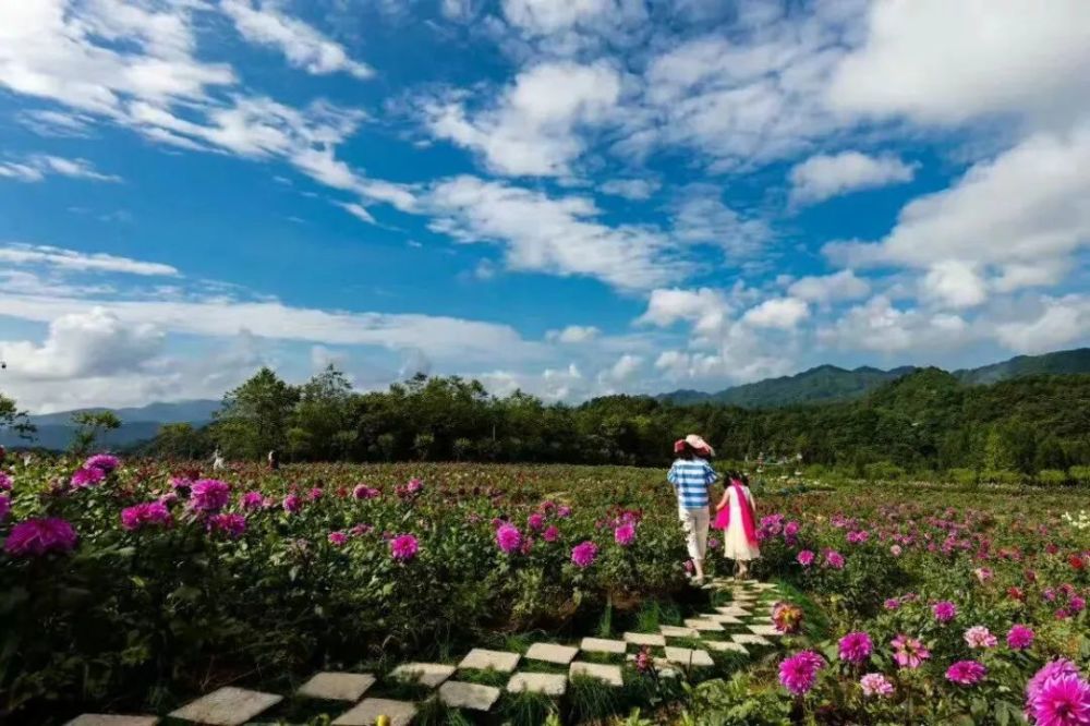 广东新州药业有限公司，引领医药行业，铸就健康未来