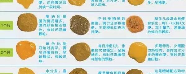 关于两个月宝宝一天拉几次大便的正常范围