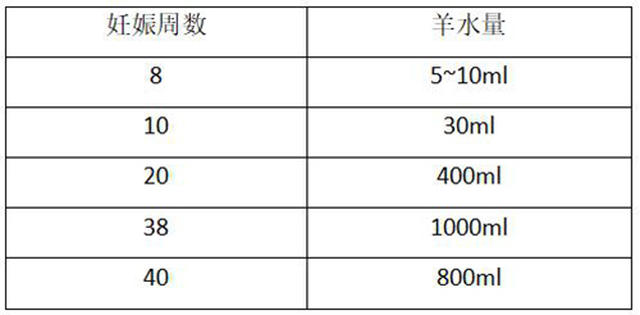 四个月孕期羊水正常量的探讨