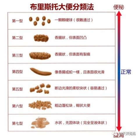 关于三个月宝宝两天未排便是否正常的研究与探讨