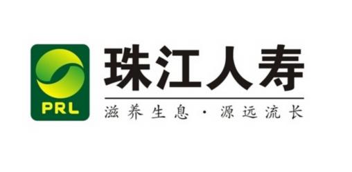 广东珠江投资控股集团有限公司，塑造未来的卓越力量