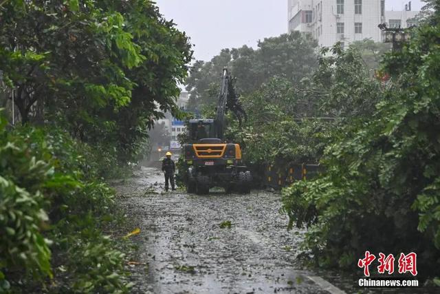 广东省2017年台风纪实，挑战与应对的自然力量